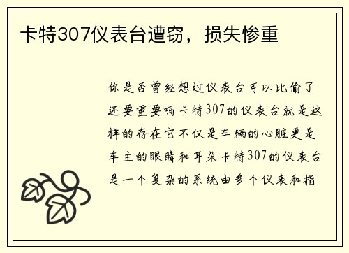 卡特307仪表台遭窃,损失惨重 卡特307仪表台遭窃,损失惨重